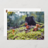 Eikenbok met een paddenstoel in een klein karretje briefkaart (Voorkant / Achterkant)