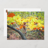 Eikenbok op een beukenboom herfst briefkaart (Voorkant / Achterkant)