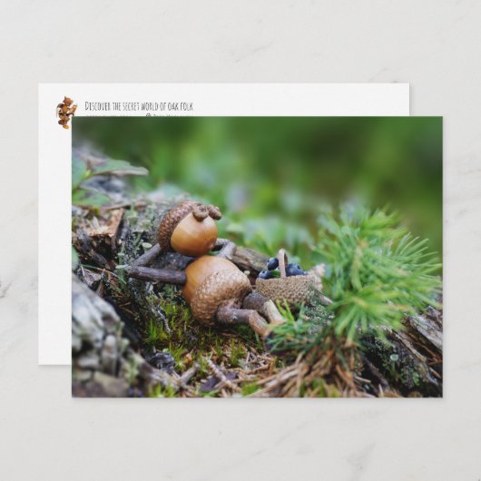 Eikenbok rust in het bos briefkaart (Voorkant / Achterkant)