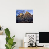 eikenbomen in de winter, Hof van Patriarchen Poster (Thuiskantoor)