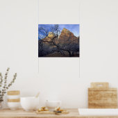 eikenbomen in de winter, Hof van Patriarchen Poster (Keuken)
