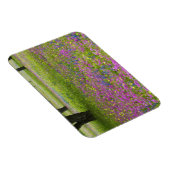 Eikenbomen met veld van Phlox, Blauwe Bonnets Magneet (Rechterzijde)