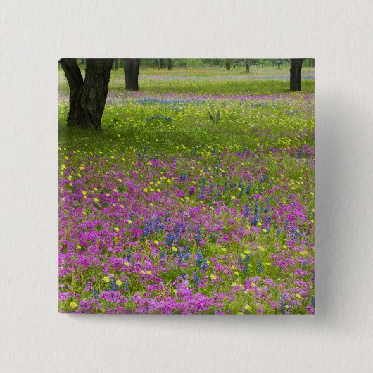 Eikenbomen met veld van Phlox, Blauwe Bonnets Vierkante Button 5,1 Cm (Voorkant)