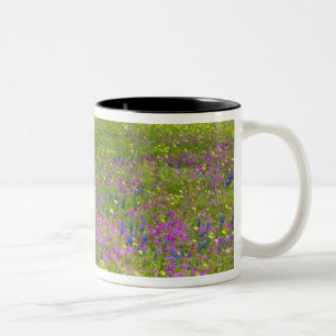 Eikenbomen met veld van Phlox, Blue Bonnets Tweekleurige Koffiemok