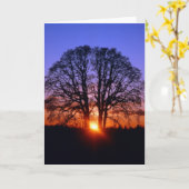 Eikenboom bij zonsondergang kaart (Gele Bloem)