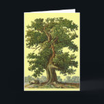 eikenboom - Blanco Kaart<br><div class="desc">kunst van een reuzeneikenboom,  die de eikenboom verkleint. Voor tuinders,  wandelaars en natuur-liefhebbers. Geweldig voor Arbor Day of Earth Day,  plant vandaag een boom.</div>