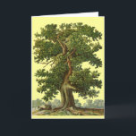 eikenboom - Blanco Kaart<br><div class="desc">kunst van een reuzeneikenboom, die de eikenboom verkleint. Voor tuinders, wandelaars en natuur-liefhebbers. Geweldig voor Arbor Day of Earth Day, plant vandaag een boom.</div>