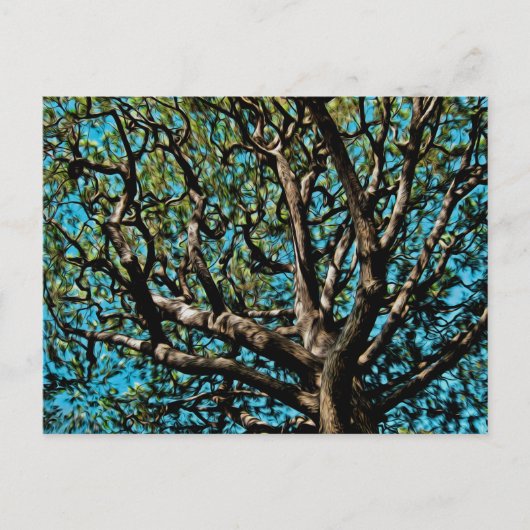 Eikenboom Briefkaart (Voorkant)