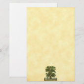  eikenboom Faux Parchment Stationery-Lined Briefpapier (Voorkant / Achterkant)