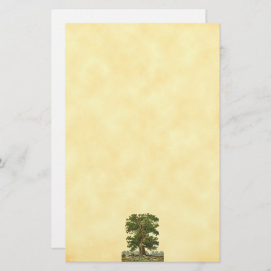  eikenboom Faux Parchment Stationery-Lined Briefpapier (Voorkant / Achterkant)