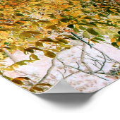 eikenboom in de Herfst... Poster (Hoek)