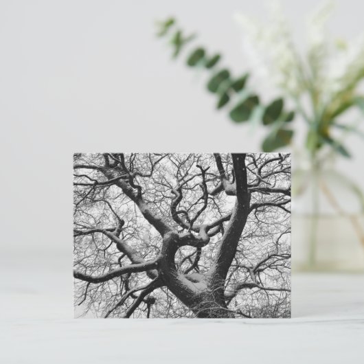 eikenboom in de winter briefkaart (Staand voorkant)