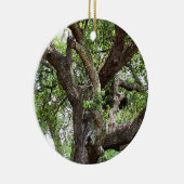 eikenboom in het Park 7659 Jacksonville, Florida Keramisch Ornament (Rechts)