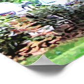 eikenboom in het Park 7659 Jacksonville, Florida Poster (Hoek)