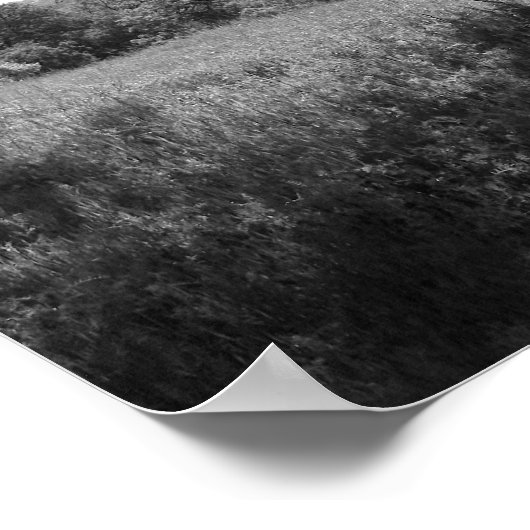 eikenboom, lentemanje, zwart en wit poster (Hoek)