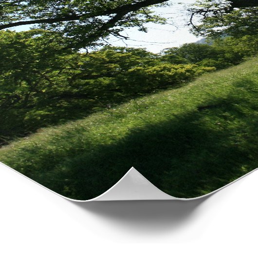 eikenboom, lentemenweide poster (Hoek)