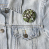 eikenboom met Spaans mos dat in de takken wappert Ronde Button 5,7 Cm (In situ)