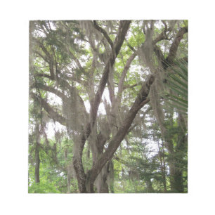 eikenboom met Spaanse mos die in de takken zwaait Notitieblok