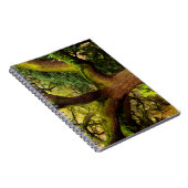 eikenboom notitieboek (Rechterzijde)