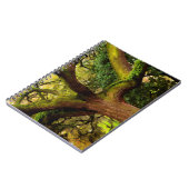 eikenboom notitieboek (Linkerzijde)