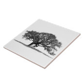 EIKENBOOM OP WIT TEGELTJE (Zijkant)