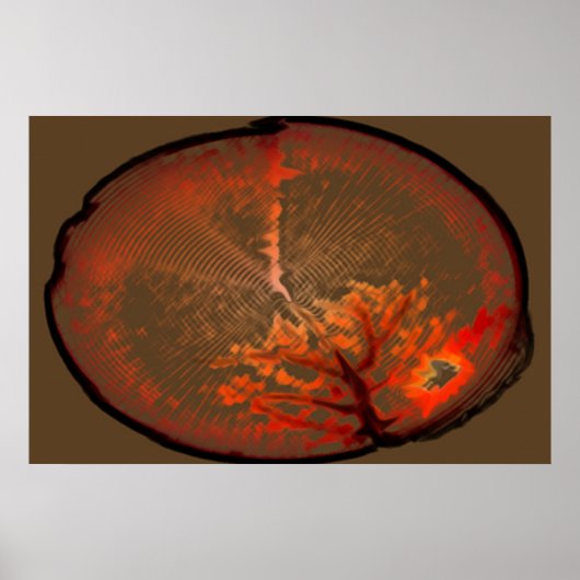 eikenboom op zonsopgang poster (Voorkant)