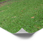 Eikenboom Poster (Hoek)