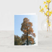 Eikenboom Wenskaart Kaart (Gele Bloem)