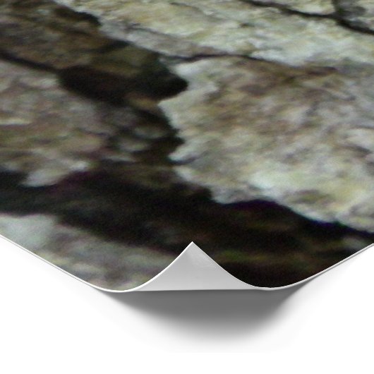 eikenboomschors poster (Hoek)