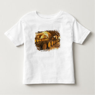 eikenborstels in de kelder bij Domaine Comte Kinder Shirts