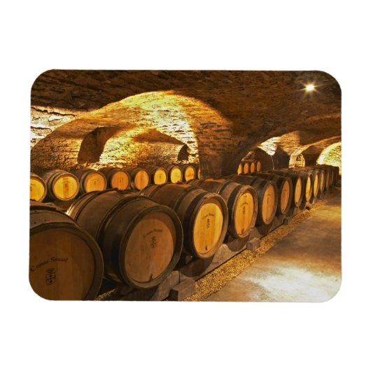 eikenborstels in de kelder bij Domaine Comte Magneet (Horizontaal)