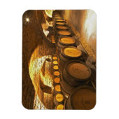 eikenborstels in de kelder bij Domaine Comte Magneet (Verticaal)