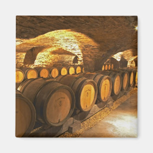 eikenborstels in de kelder bij Domaine Comte Magneet