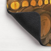 eikenborstels in de kelder bij Domaine Comte Muismat (Hoek)