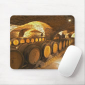 eikenborstels in de kelder bij Domaine Comte Muismat (Met muis)