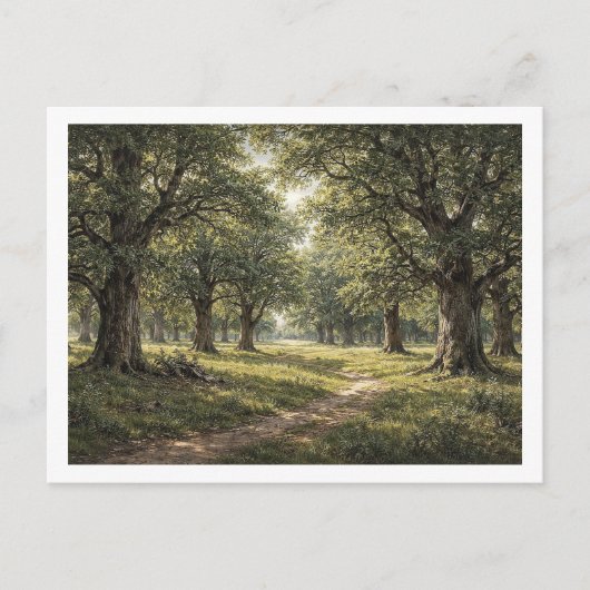 Eikenbos. Ansichtkaart Briefkaart (Voorkant)