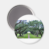 eikenhouten steeg magneet (Voorkant / Achterkant)