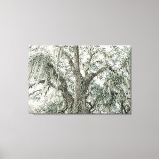 Eikenkathedraal | Levende eik | Uitgerekte canvas Afdruk (Voorkant)
