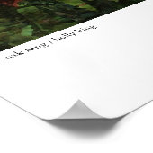 eikenkoning / heilige koning poster (Hoek)