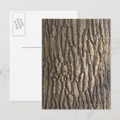 Eikenschors, Aschaffenburg, Franken, Beieren, Briefkaart (Voorkant / Achterkant)