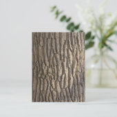 Eikenschors, Aschaffenburg, Franken, Beieren, Briefkaart (Staand voorkant)