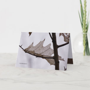 eikenspookblad kaart