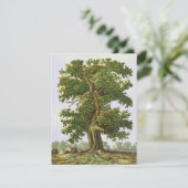  eikenstructuur Blank met een 4,25-inch x5,5-inch  (Staand voorkant)