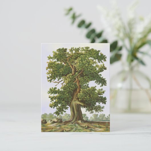  eikenstructuur Blank met een 4,25-inch x5,5-inch  (Staand voorkant)