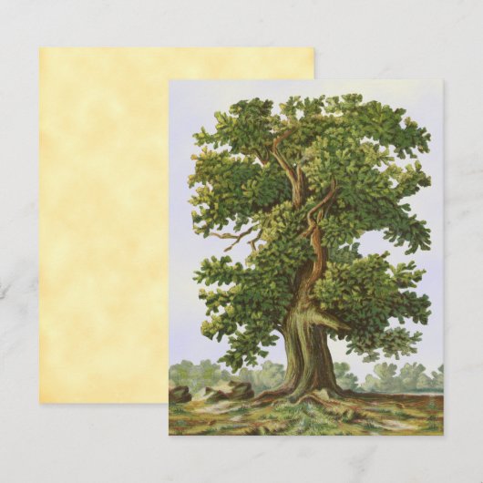  eikenstructuur Blank met een 4,25-inch x5,5-inch  (Voorkant / Achterkant)