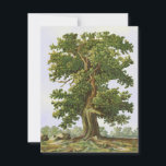 eikenstructuur Blank met een 4,25-inch x5,5-inch<br><div class="desc">De  kunst van een reusachtige,  torenhoge eikenboom tegen een faux-canvashemel heeft de achterkant een rustige,  faux-canvas lege achtergrond.</div>