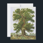 eikenstructuur Blank met een 4,25-inch x5,5-inch<br><div class="desc">De  kunst van een reusachtige,  torenhoge eikenboom tegen een faux-canvashemel heeft de achterkant een rustige,  faux-canvas lege achtergrond.</div>