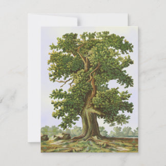  eikenstructuur Blank met een 4,25-inch x5,5-inch 