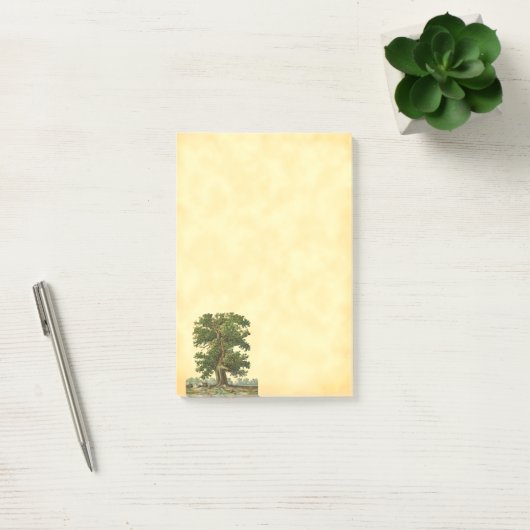 eikenstructuur Na deze afbeelding Post-it® Notes (Kantoor)