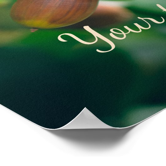 eikenvertakkingen met eikels poster (Hoek)